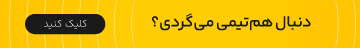 هم بازی یاب